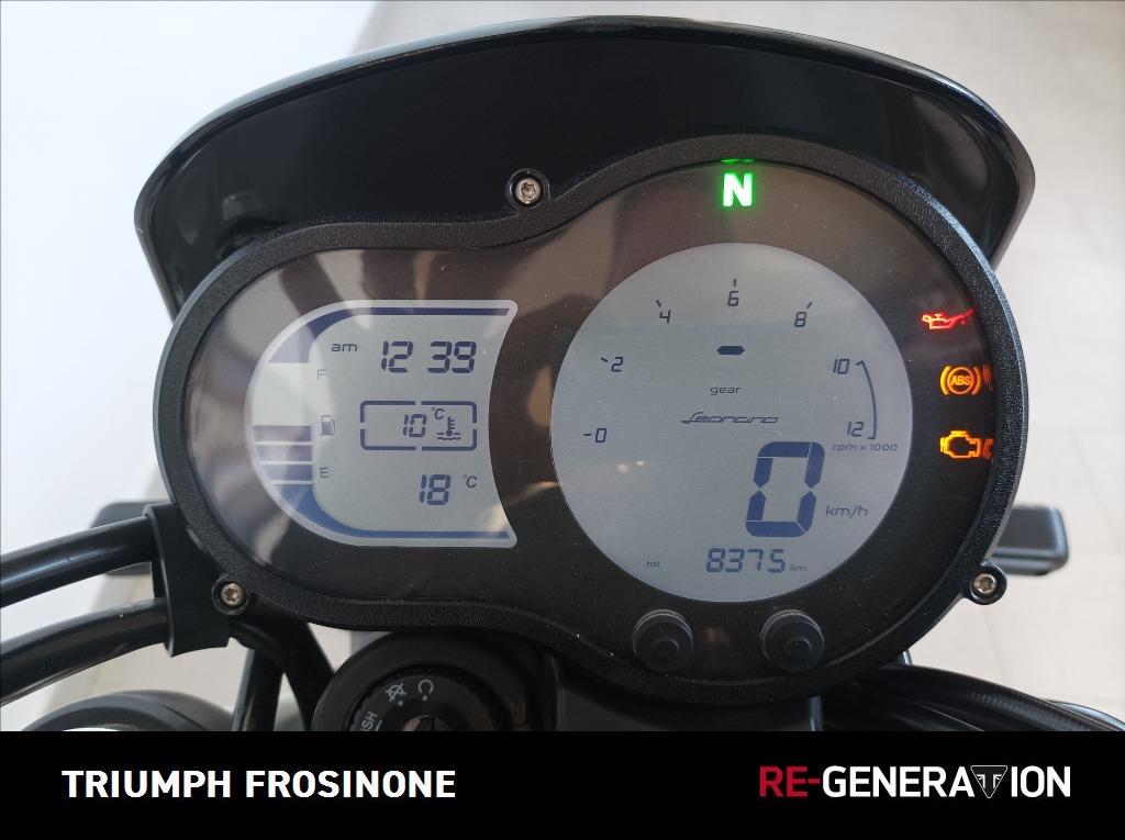 BENELLI Leoncino 500 Trail E5