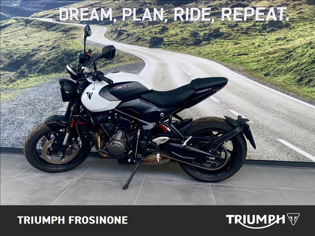 TRIUMPH Trident 660 Snowdonia White Abs