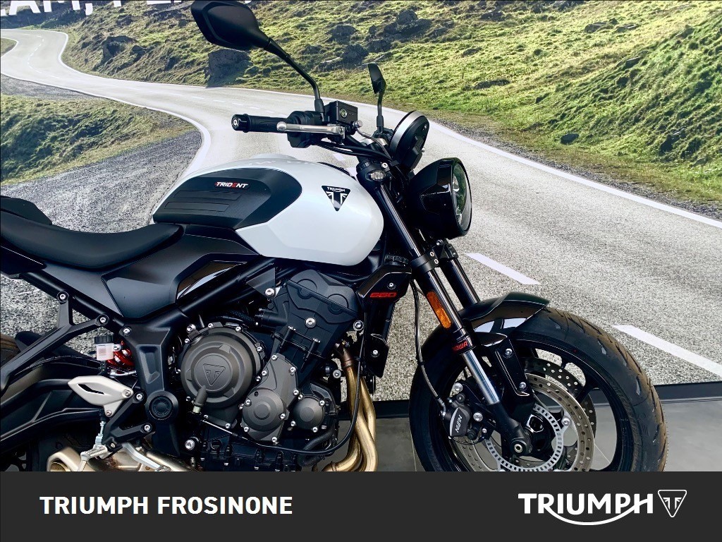 TRIUMPH Trident 660 Snowdonia White Abs