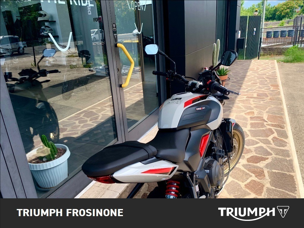TRIUMPH Trident 800 Ash Grey Abs